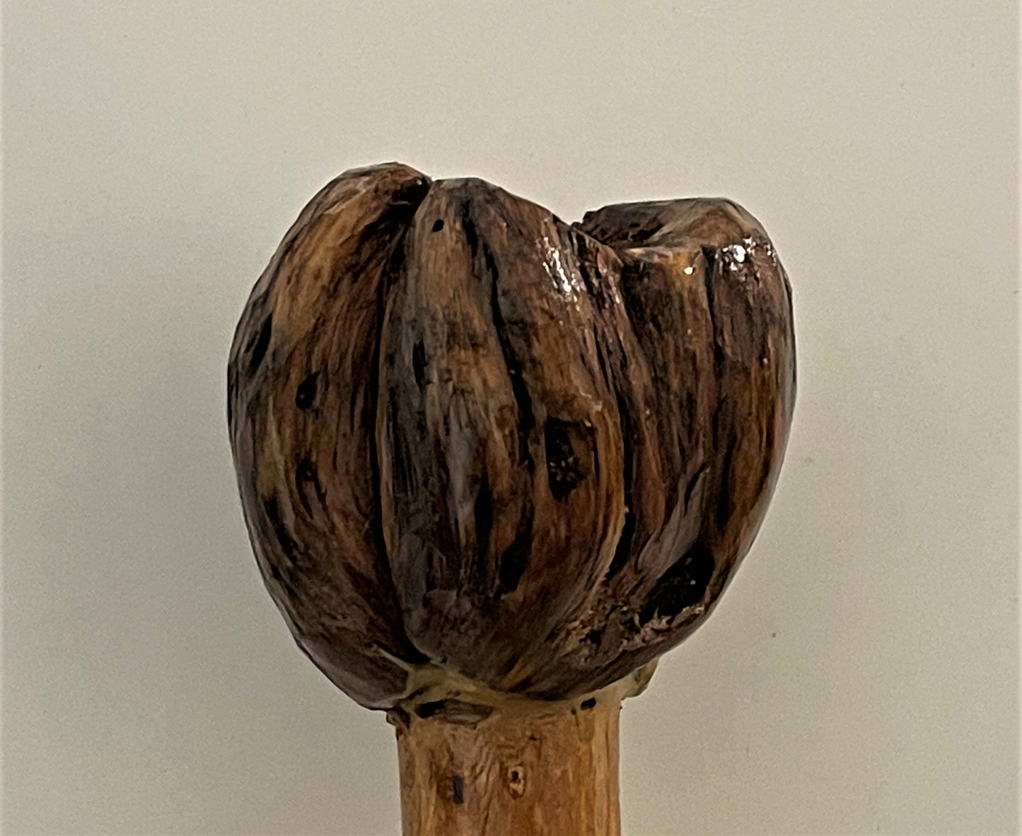 Burl Wood Topper For Walking Stick (Shopify)