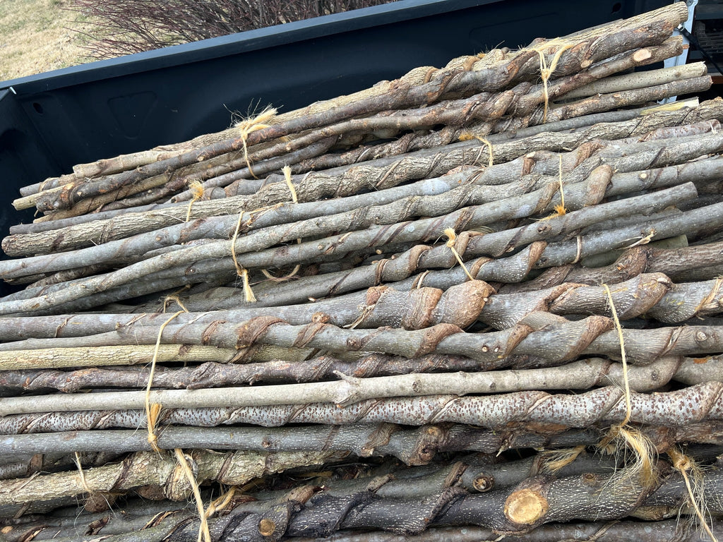 Natural Vine Curled Stick, Kentucky Hiking Staff, Twisted Walking Stick, Vine Curled, Hiking Staff, Walking Stick, Handmade Gift For Hikers, Nature Made Walking Sticks