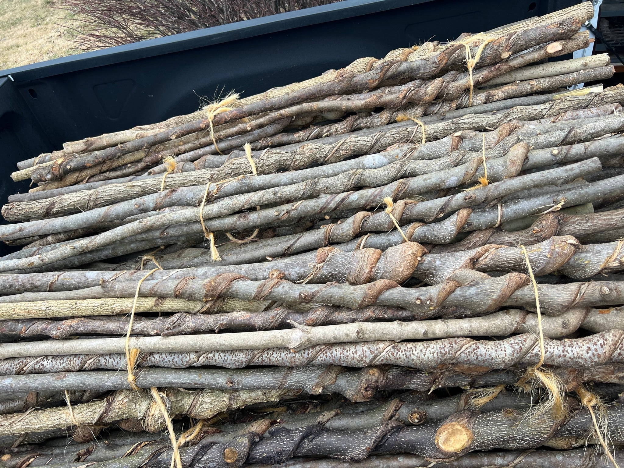 Natural Vine Curled Stick, Kentucky Hiking Staff, Twisted Walking Stick, Vine Curled, Hiking Staff, Walking Stick, Handmade Gift For Hikers, Nature Made Walking Sticks
