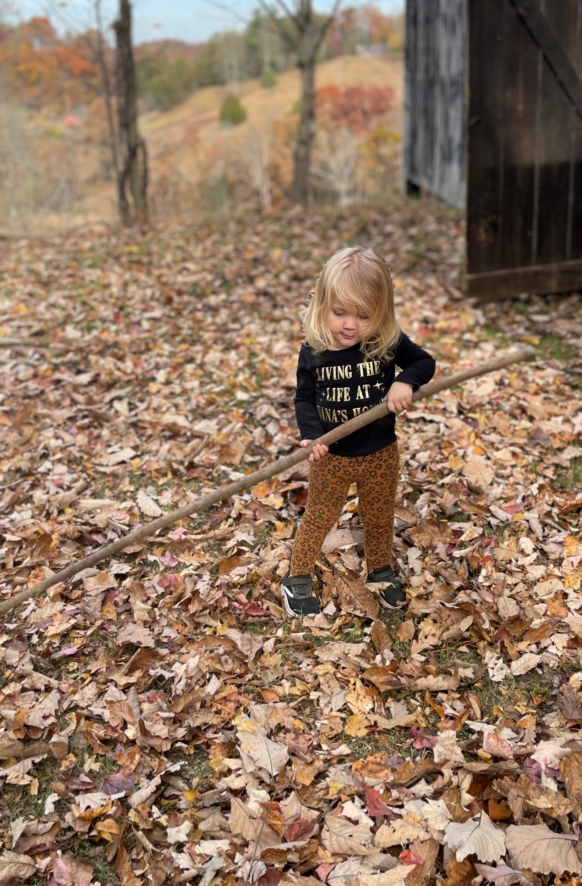 Walking Stick, Walking Sticks, Hiking Staff, Kid's Walking Stick, Kid's Hiking Staff, Vine Curled Stick, Vine Curled Walking Stick