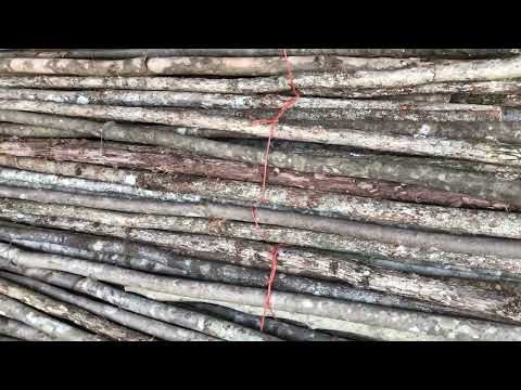 Traditional Blank Walking Sticks 55"-60" (Shopify)