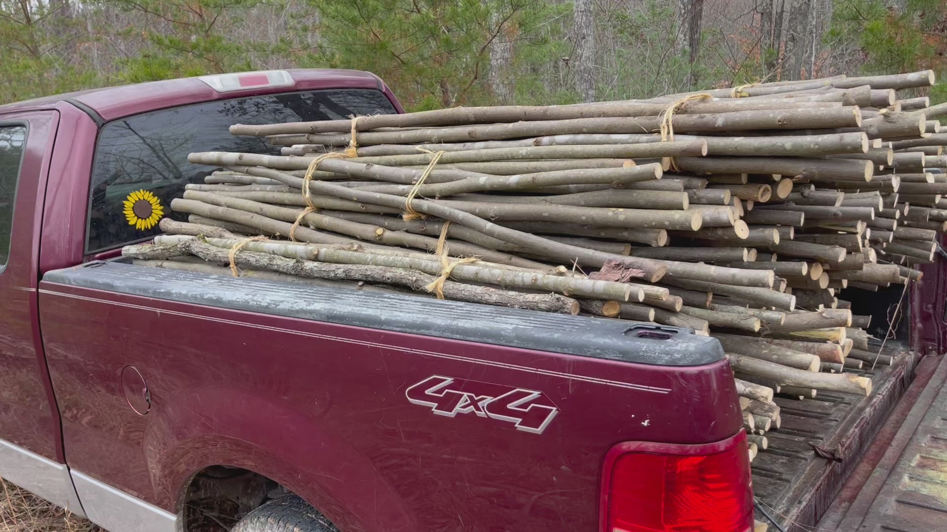 Traditional Blank Walking Sticks 55"-60" (Shopify)