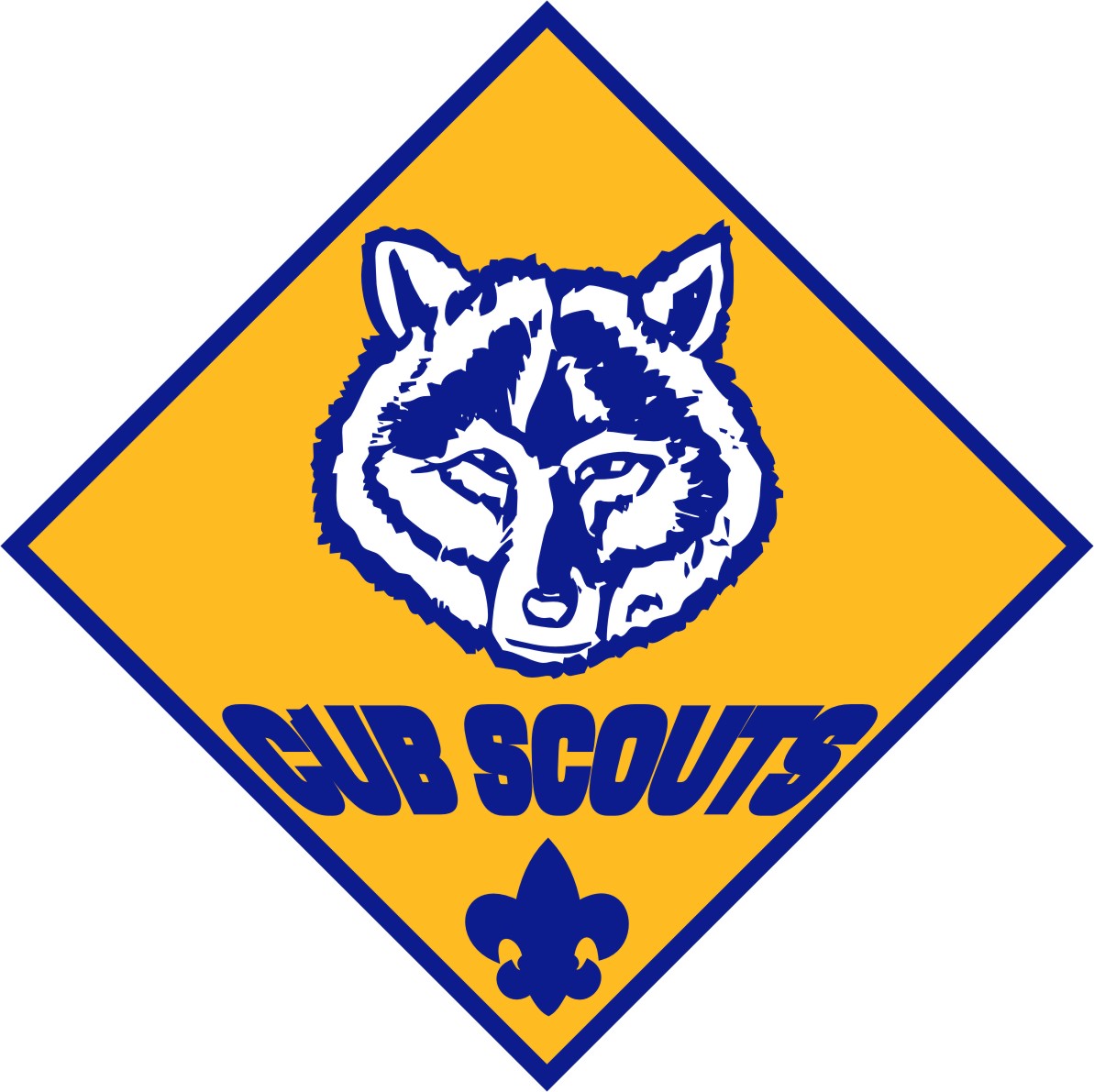 Cub Scouts Love Kentucky Walking Stick Blanks
