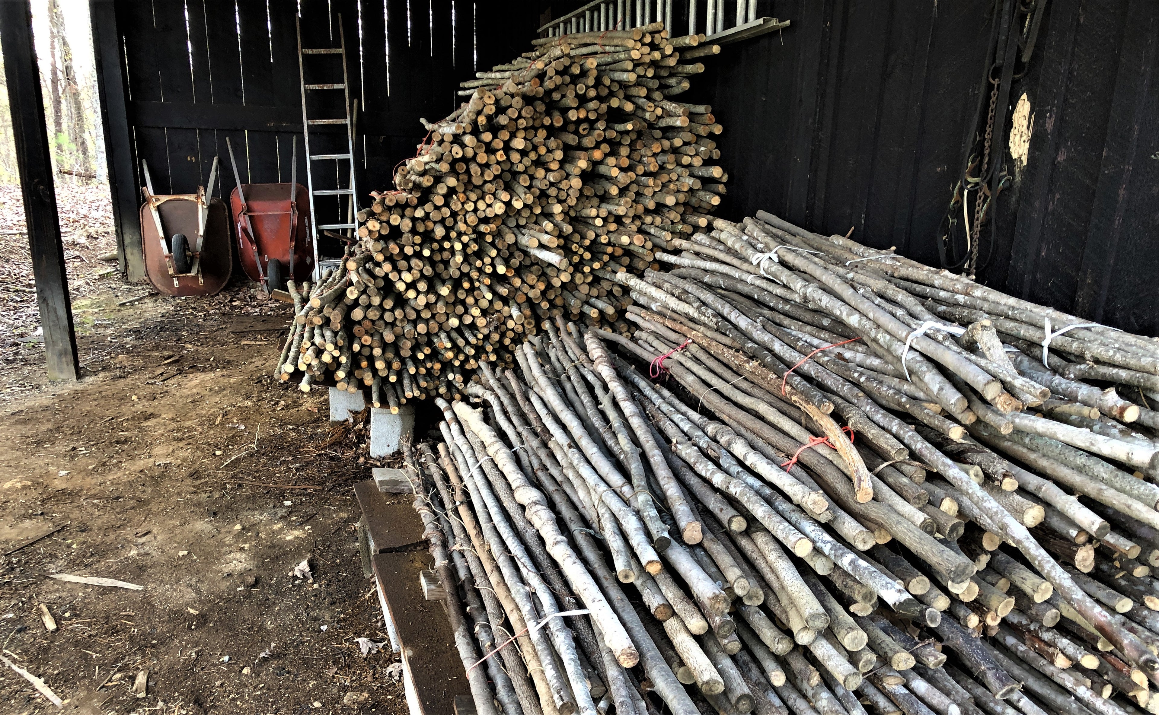 Traditional Kentucky Walking Sticks