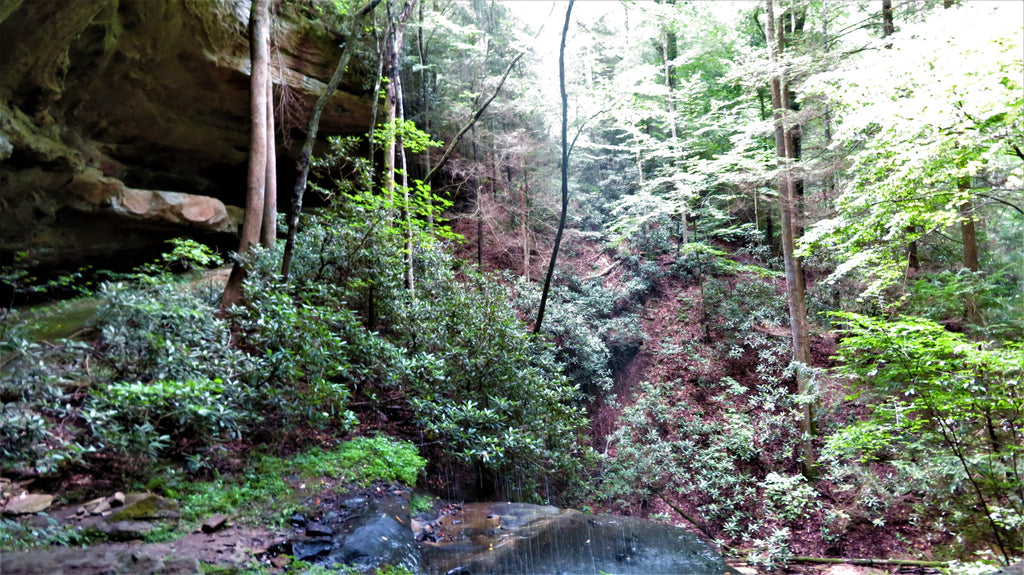 Muir Valley, Red River Gorge