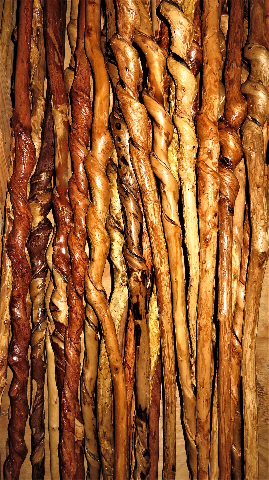 Kentucky Walking Sticks