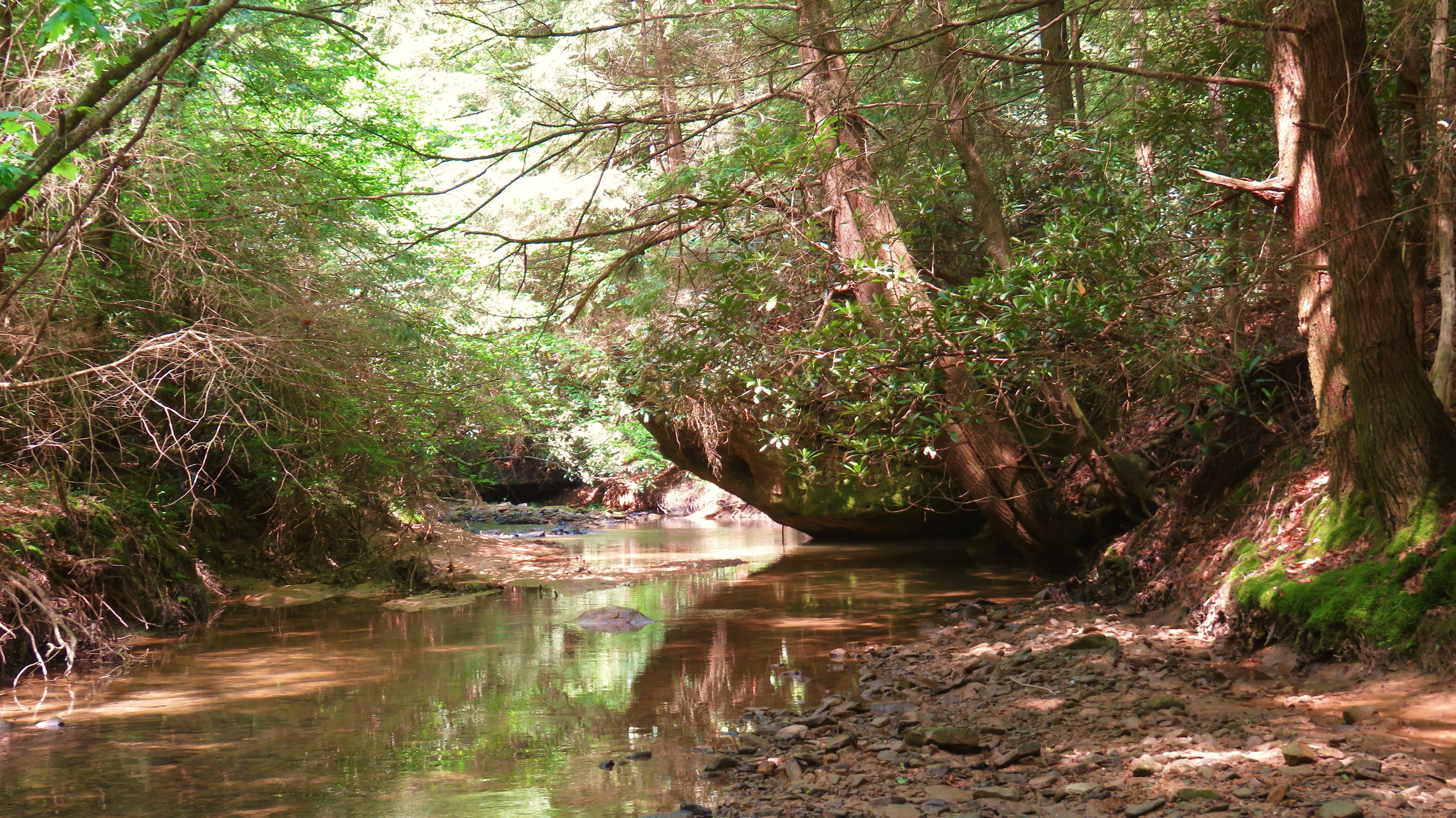 Muir Valley, Red River Gorge