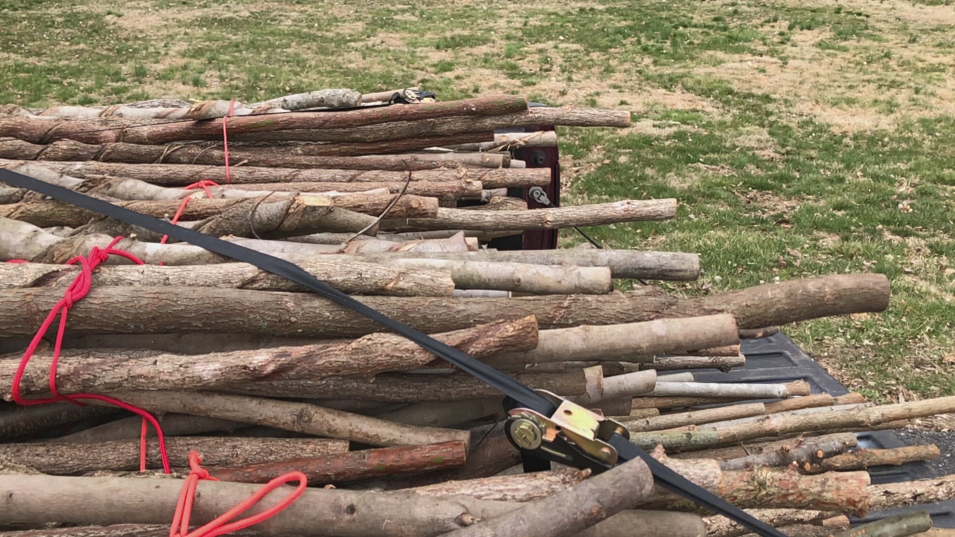 Natural Blank Vine Curled Walking Sticks  (Shopify)