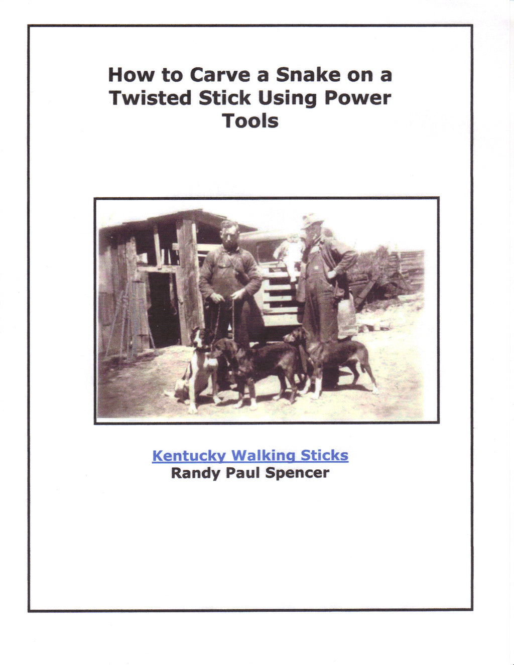 How To Carve A Snake On A Twisted Stick ebook